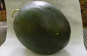 Hybrid Black Diamond Variety Watermelon