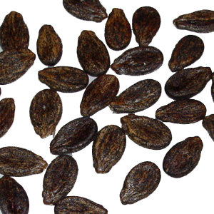 Who Owns Blue Diamond Growers : In-the-Shell Nuts from Diamond Nuts | Diamond of California / All stock portfolios rose in this past, confusing, week of optimistic and pessimistic economic results.