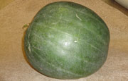 Blue Rind Variety Watermelon